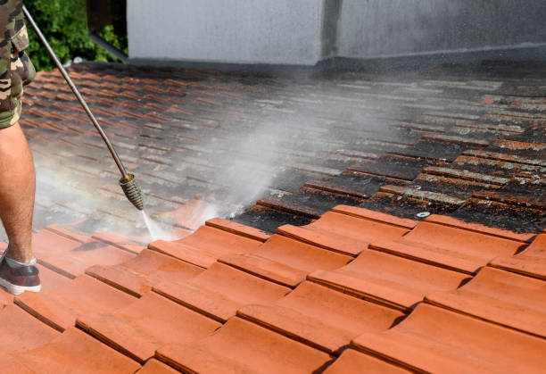 Best Sidewalk Pressure Washing  in Puxico, MO