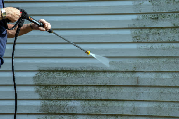 Best Roof Power Washing Services  in Puxico, MO